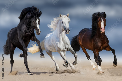 Obraz na płótnie Three horse with long mane run gallop in sand