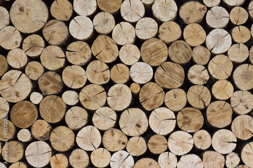 Fototapeta The wall of the log house. Firewood for the winter. Background