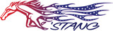 Ford Mustang, Car Sticker, vinyl, Graphics