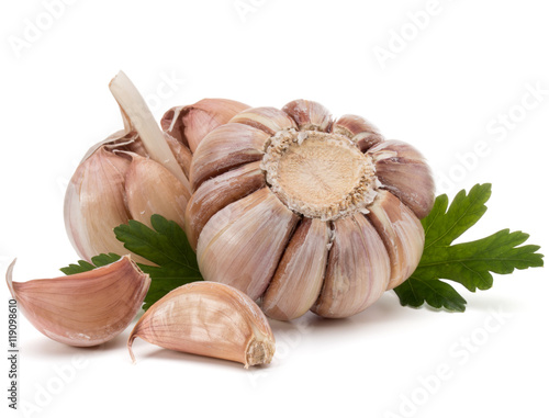 Garlic bulb and parsley herb still life isolated on white backgr