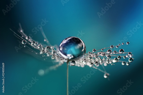 Fototapeta Beautiful dew drops on a dandelion seed macro. Beautiful soft light blue and violet background. Water drops on a parachutes dandelion on a beautiful blue. Soft dreamy tender artistic image form.