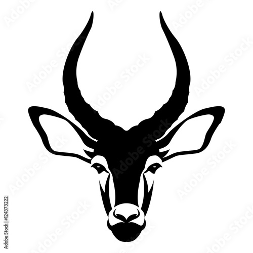 Fototapeta impala buck head face vector illustration style Flat
