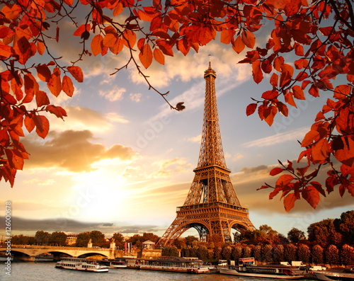  Eiffel Tower with autumn leaves in Paris, France