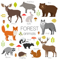 Set of forest animals isolated vector. Moose, wild boar, bear, fox, rabbit, wolf skunk raccoon deer squirrel hendgehog