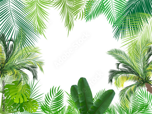  Tropical jungle background with palm tree and leaves. 