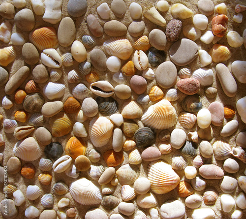 Naklejka na szybę Small seashells and stones. Pattern.