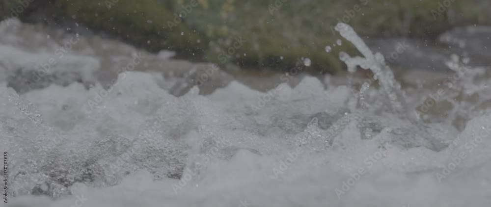 Bach in Zeitlupe Slowmotion
