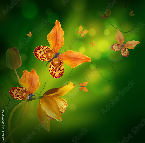 Amazing butterflies from the petals of orchids, floral background. Flowers and insects.