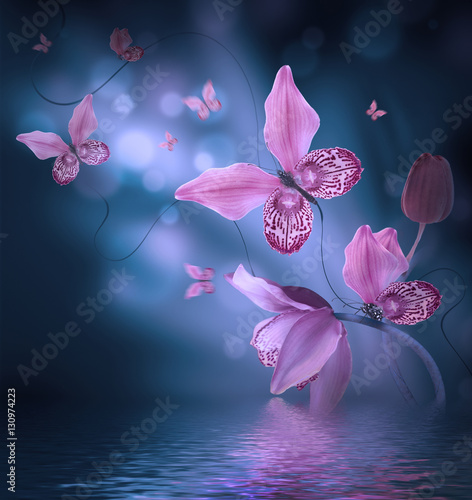 Amazing butterflies from the petals of orchids, floral background. Flowers and insects.