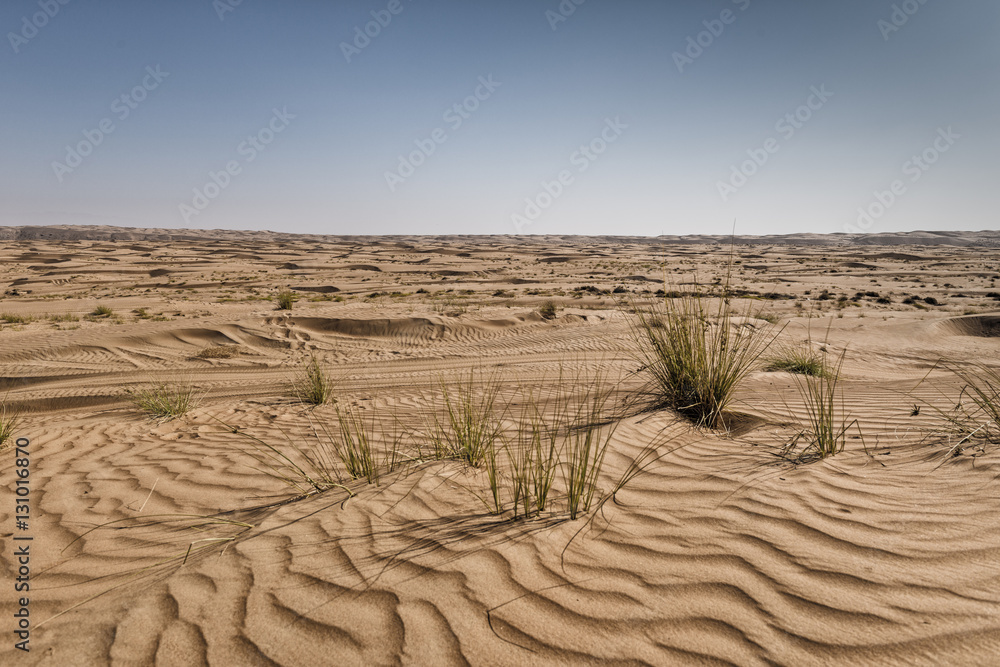 the beauty of a desert, Oman