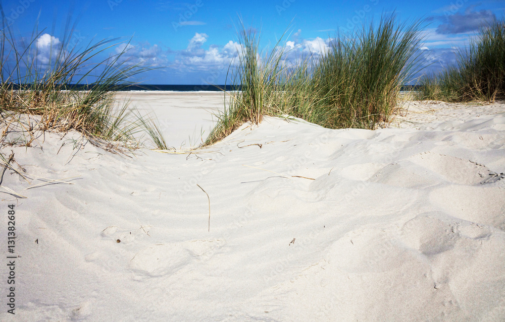 Duinen vanTerschelling