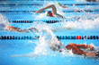 Freestyle race Freestyle race