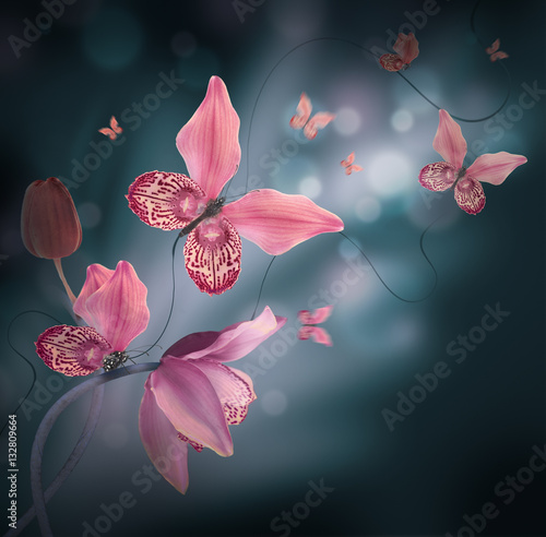 Amazing butterflies from the petals of orchids, floral background. Flowers and insects.
