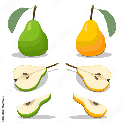 vector illustration of logo for the theme of the fruit Pear