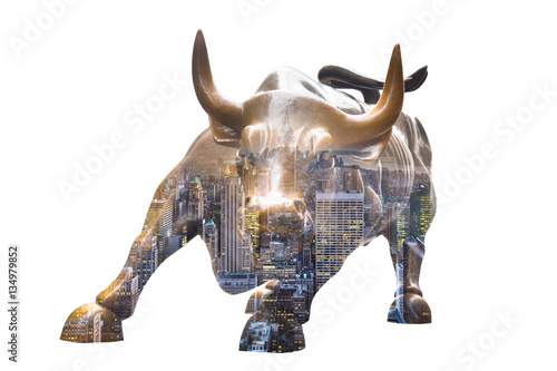 Fototapeta NEW YORK CITY - MAR 26: The landmark Charging Bull in Lower Manhattan represents aggressive financial optimism and prosperity March 26, 2015 in New York, NY, United States of America.