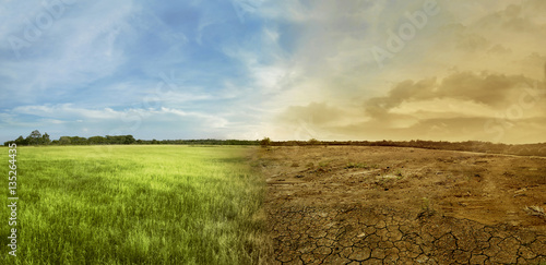 Фото: Landscape of meadow field with the changing environment Landscape of meadow field with the changing environment