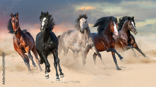 Fototapeta Horse herd run gallop on desert dust against beautiful sunset sky