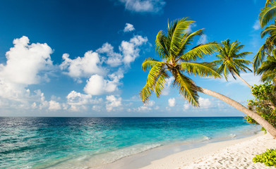 Einsamer Strand auf den Malediven