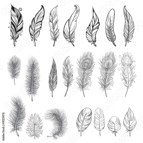  Collection of hand drawn feather. Ink illustration. Isolated on white background. Set of decorative animals feathers. Hand drawn vector art.