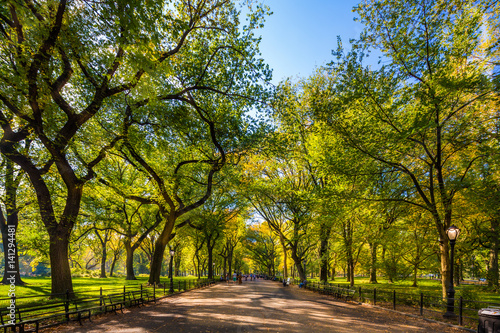 Zdjęcie XXL Piękny park w pięknym mieście. Centralny Park. Centrum handlowe teren w central park przy jesienią, Miasto Nowy Jork, usa