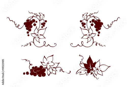 Design elements -- vine / Set graphic vector illustration, grapes drawing sketch