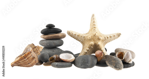 Fototapeta seashells, rocks and starfish