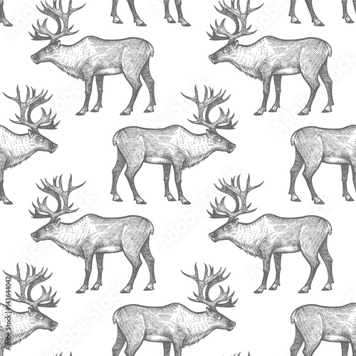  Seamless pattern with Reindeer.