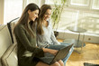Two young female friends sitting in a room on the sofa and using laptop Two young female friends sitting in a room on the sofa and using laptop