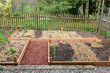 neuer Gemüsegarten neuer Gemüsegarten