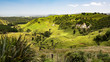 typical landscape in north New Zealand typical landscape in north New Zealand
