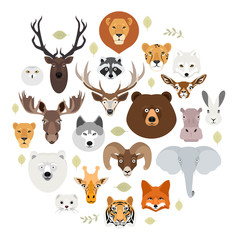 Big animal face icon set. Cartoon heads of fox, rhino, bear, raccoon, hare, lion, owl, rabbit, wolf, hippo, elephant, tiger, giraffe, moose, deer, elk, sheep, ram, ermine