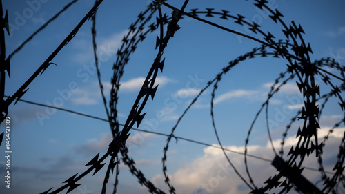 Razor wire fence