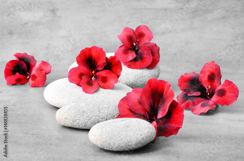 Fototapeta Spa concept with flower and zen stones