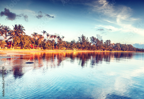 Beautiful bright sunset on a tropical paradise beach