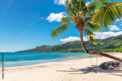 Zdjęcie XXL Sławna kawalera Vallon plaża z kokosowym drzewkiem palmowym na Mahe wyspie, Seychelles.