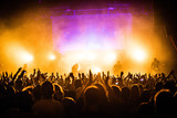 Concert Crowd