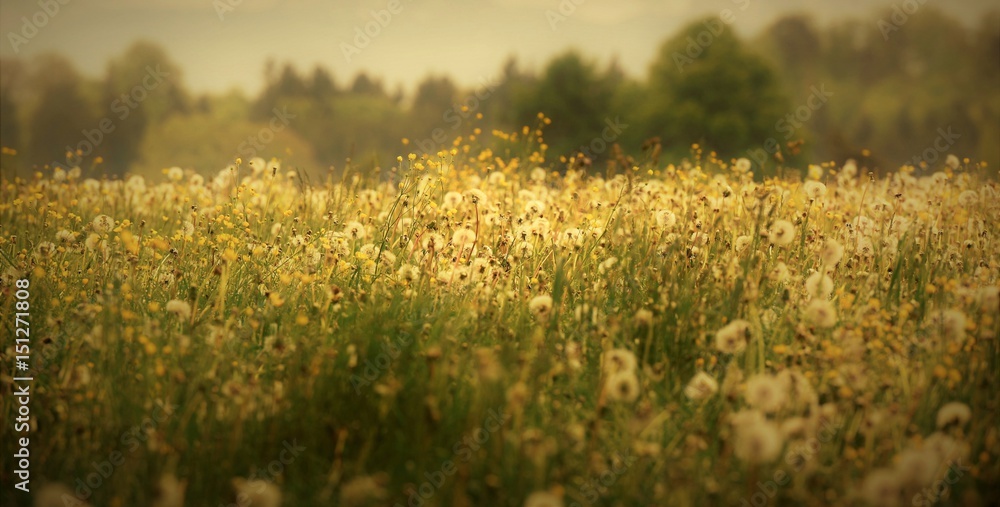 1000_F_151271808_FjWgXlYHnkd2gXpn0pGeerp8OkbJwRa2.jpg