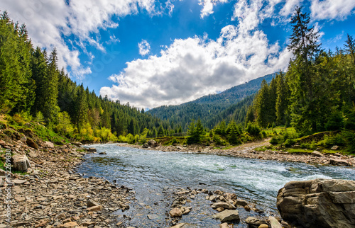 Fototapeta River among the forest in picturesque mountain landscape