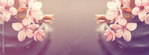  Beautiful pink Spa Flowers on Spa Hot Stones on Water Wet Background. Side Composition. Copy Space. Spa Concept. Dark Background. Toning.