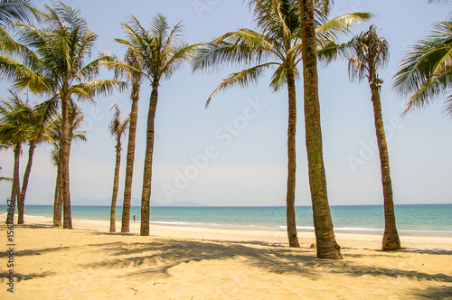 Fototapeta Tropical beach with palm tree's and golden sand in beautiful tropical Vietnam