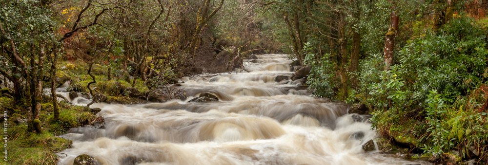 Chutes de Torc, Killarney