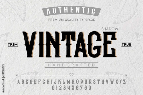 Font. Alphabet. Script. Typeface. Label.Vintage typeface. For labels and different type designs © vision_stock