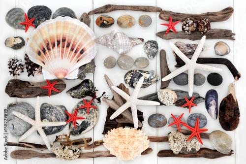  Abstract background of natural driftwood, seashells and rocks from the beach on wooden white background.