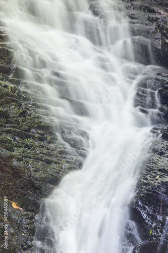 Fototapeta Small waterfall in monteverde cloud forest reserve