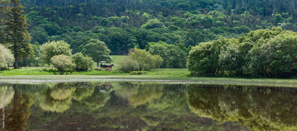 Scenic killarney national park lake reflection panorama
