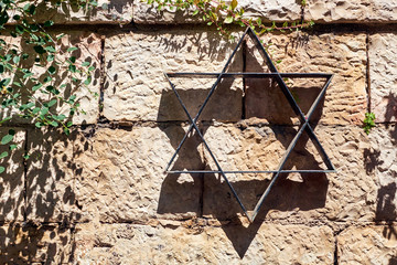 Star of David on the stone wall background and plant