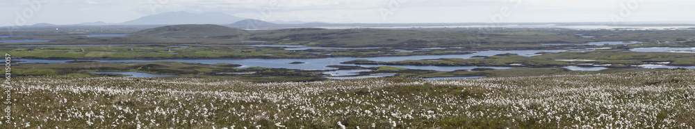 Federgras, Landschafts-Panorama North Uist, Äussere Hebriden, Schottland