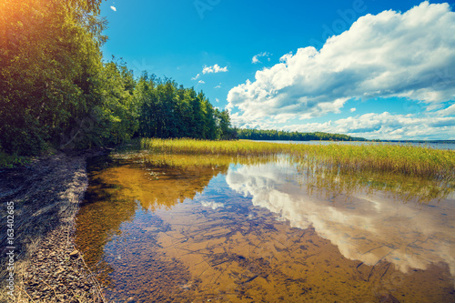 Zdjęcie XXL Lakeshore z drzewami i błękitnym chmurnym niebem. Piękna lato natura Finlandia
