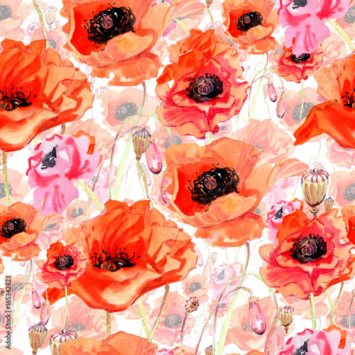 Plakat Wildflower kwiat maku wzór w stylu przypominającym akwarele. Pełna nazwa zakładu: mak. Aquarelle dziki kwiat dla tła, tekstury, opakowania wzór, rama lub granicy.