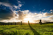 Sunrise on green farm field in New Zealand Sunrise on green farm field in New Zealand